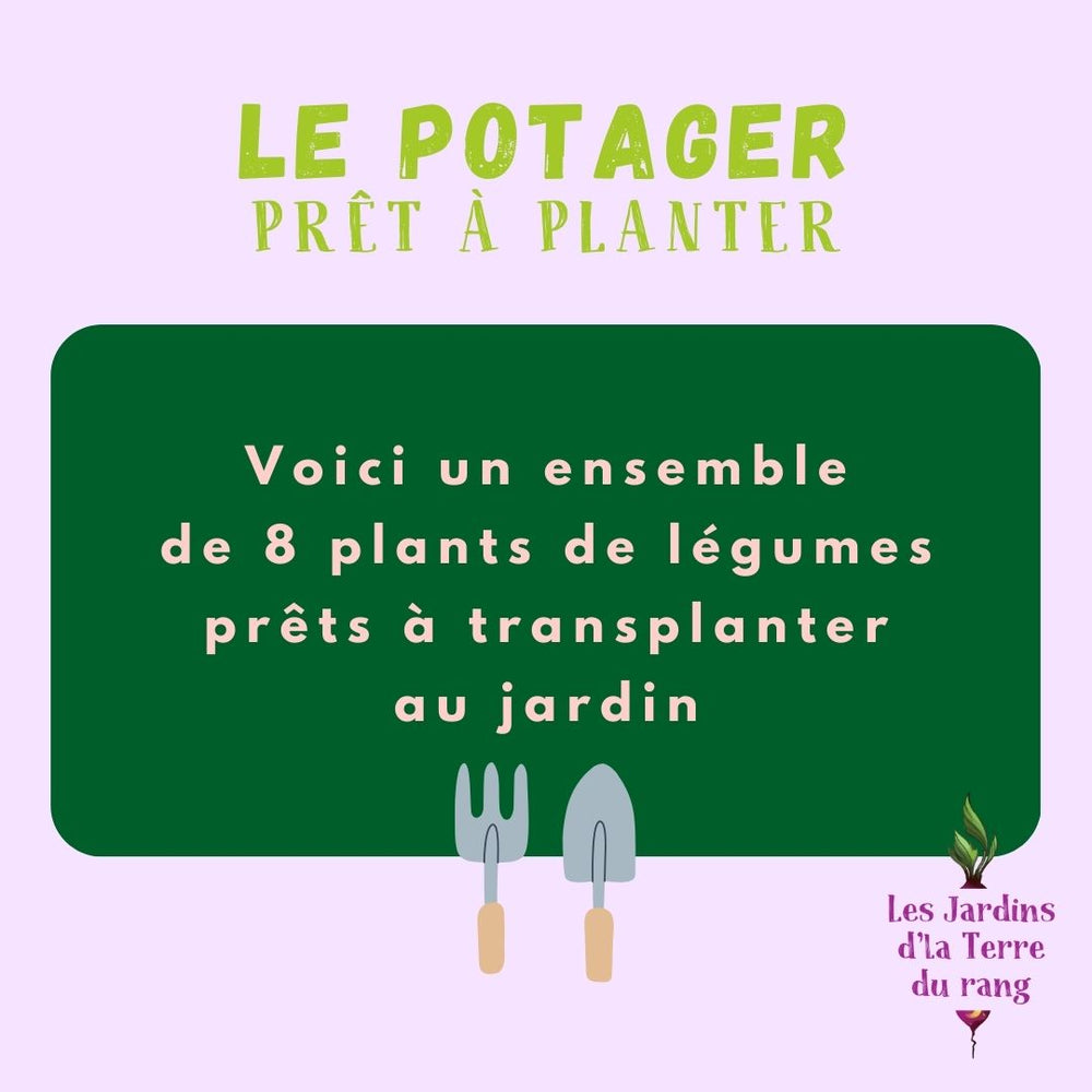 Le Potager prêt à planter