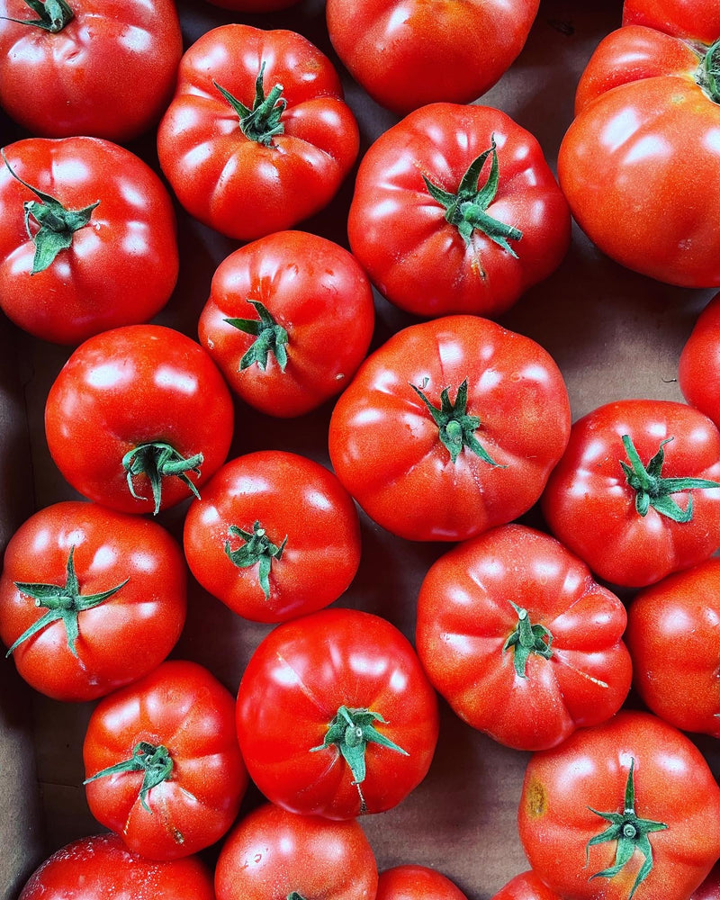 Tomate rouge de serre « coeur de boeuf »